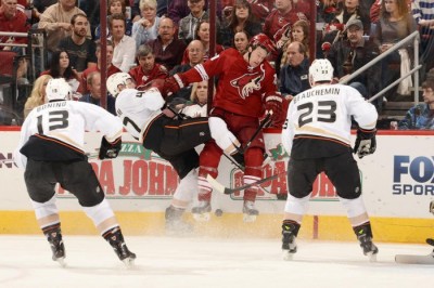 Patke nadvisile Kojote (VIDEO)