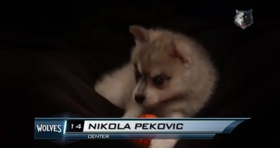 ‘Timbervučići’ (VIDEO)