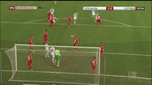 Kakva volejčina (VIDEO)