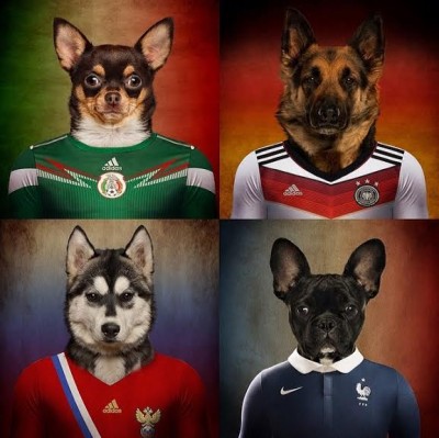 Psi spremni za svetsko prvenstvo