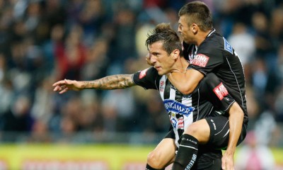 KONAČNO STIŽE? Nikolić najavio potpis stamenog defanzivca! (VIDEO)