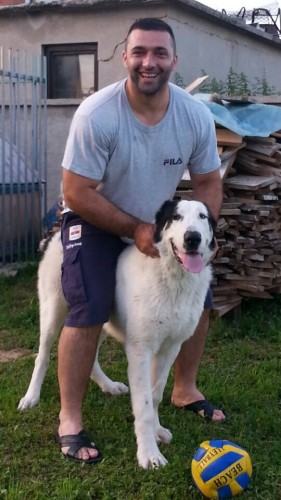 PAKOST: Kolašincu otrovali psa