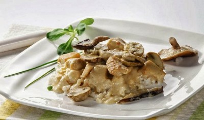 LIFESTYLE OBROK: Piletina sa šampinjonima