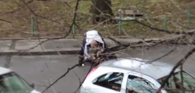 PUCNJAVA KOD MARAKANE: Ovako je nepoznati čovek spasio upucanog navijača Zvezde! (VIDEO)