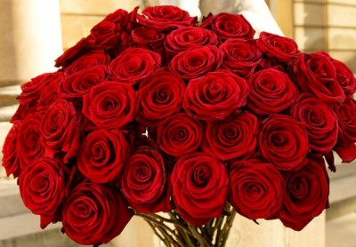 ‘LJUBAVNA ‘DILEMA: Devojka ili tegovi? (VIDEO)