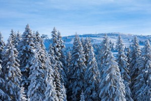 JAK SNEG: Otkazan spust u Vengenu