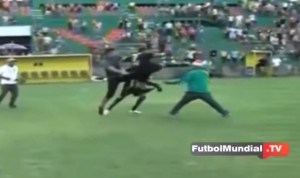 TAKO SE BRANI SAIGRAČ: Kung-fu zahvatom ‘o’ladio’ navijača (VIDEO)