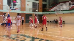 PRIPREME: Srpskinje ubedljive na prvom testu u Lionu