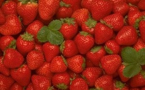 LIFESTYLE: Volite jagode? Zbog ovih pet moćnih razloga volećete ih još više!