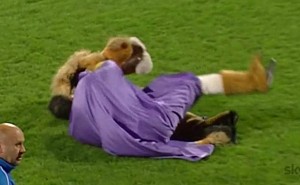 KAKAV LAV? Pijani lav (VIDEO)