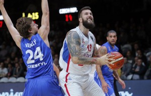 NOVOSEL SE IZVINIO: Hrvatima je potreban jedan drvoseča!