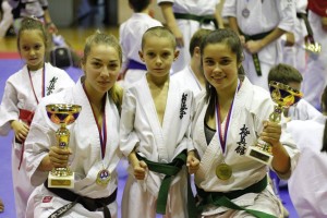 VRAČAR 2015: Rezultati sa Petog otvorenog prvenstva Srbije u kjokušinu (FOTO) (VIDEO)