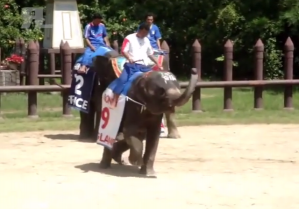 POTPUNI HIT: Slon u dresu Runija trese mrežu i postavlja standarde proslave gola (VIDEO)