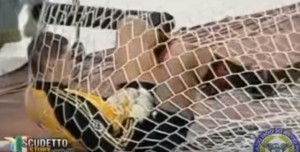 VREMEPLOV: Utakmica za sva vremena, strelci su bili Ševčenko, Veron, Simeone, Salas, Mihajlović (VIDEO)