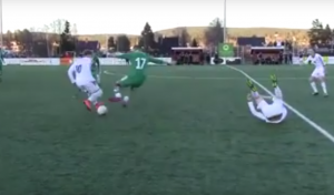 POKUŠAJ UBISTVA NA TERENU: Da li je moguće – sa dve noge direktno ‘u meso’! (VIDEO)