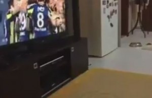 PRESLATKO: Ovo je najsimpatičniji fudbalski navijač na svetu (VIDEO)