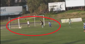 SMEŠNA STRANA FUDBALA: Trebalo je samo da se lopta zakoprca u mreži, ali je gol sprečio 12. igrač (VIDEO)