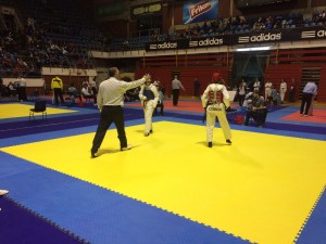 TEKVONDO FEŠTA: U Beogradu počeo 15. Galebov turnir (FOTO)