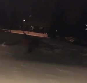 NIKO KAO ZLATAN: Urnebesno čestitanje Božića (VIDEO)