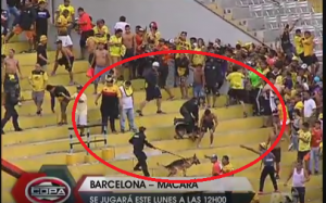 HAOS U EKVADORU: Tuča navijača, policijski psi grizli huligane, mnogo povređenih (VIDEO)