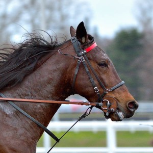 PRVI PUT POSLE 41 GODINE: Pala ‘tripla kruna’ u Francuskoj!