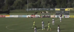 NESVAKIDAŠNJA SCENA NA PARTIZANOVOJ PROVERI: Fudbaleri CSKA bežali pred galopom razigranih konja (VIDEO)