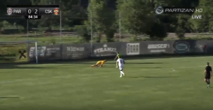 STVARI KOJE SE NE TOLERIŠU: Posle Kljajića, pogledajte neverovatnu grešku i Nemanje Stevanovića (VIDEO)