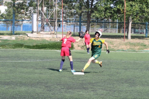 SJAJAN SOFTBOL VIKEND: Završeno Prvenstvo Srbije i Trofej Beograda