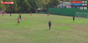 ZVEZDA POBEDILA RAD: Dve asistencije i gol Rikardinja, Tanko debitovao