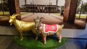 GDE JE TA ČUVENA TAČNOST: Najavili Zvezdu, ali ovakva greška se kod Nemaca retko viđa! (FOTO)