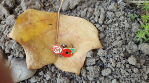 ‘ONI SU HEROJI’: Arsenalov novinar se oduševio, za njega, neočekivanim gestom navijača Zvezde (FOTO)