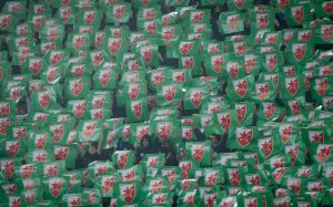 NI U BELORUSIJI BEZ PODRŠKE: Pogledajte slike navijača Zvezde sa stadiona u Borisovu (FOTO)