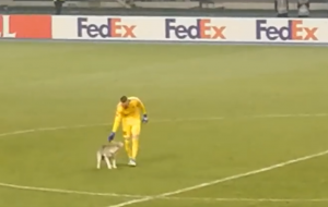 NEOBIČNA SCENA U KOMŠILUKU: Nezvani gost utrčao na teren i prekinuo utakmicu Lige Evrope (VIDEO)