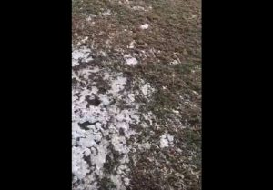 ‘RAJ ZA PRASIĆE’: Teren Spartaka u očajnom stanju – sve se glasnije priča o odlaganju, ali… (VIDEO)