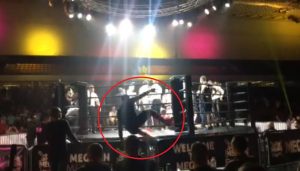 AHILEJ = PORODICA: Kolege borci ili braća? Negucić sa tribina ‘doleteo’ u ring nakon pada Marka Radakovića (VIDEO)