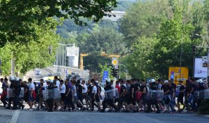 GALERIJA IZ NOVOG SADA