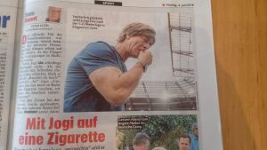 FLEŠ IZ AUSTRIJE: Srbi nisu jedini ‘euforični – ovo je ludi plan Austrijanaca posle rušenja ‘pancer divizije’! (FOTO)