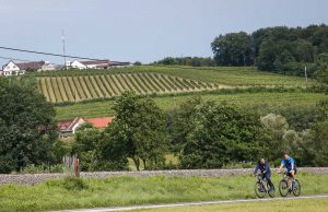 FOTO-UBOD: Selektor Krstajić i potparol Vuković biciklom na konferenciju (FOTO)