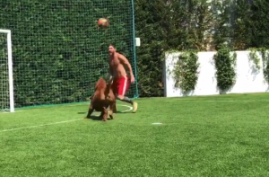 MESI SE IGRA, A UJEDNO I VEŽBA: ‘Kuci’ se zavrtelo u glavi, a kome ne bi posle ovoga… (VIDEO)