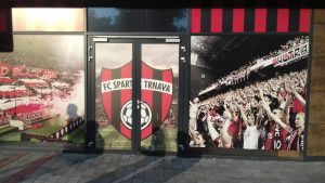 NIJE KAO NA MARAKANI: Loš teren čeka Zvezdu, a u to se uverio i direktor kluba