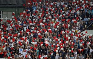 STIŽE PROLEĆE: Zvezda zove navijače na derbi sa Vojvodinom