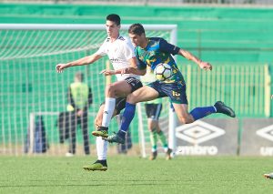 STEFAN ŠAPIĆ: Pristup protiv Zemuna je bio sjajan