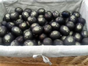 ČESTITKE NAVIJAČIMA: Ovako su FK i KK Partizan poželeli srećan Uskrs (FOTO)