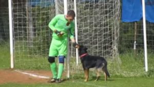 OVO NISTE VIDELI: Roštilja se u toku utakmice, golman jede, a pritom hrani i psa (VIDEO)