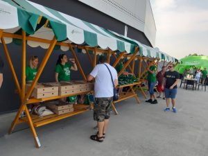 FEŠTA U LJUBLJANI: Olimpija dočekuje Partizan, Slovenci baš znaju da uživaju (VIDEO)