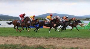 KONJIČKI SPORT: Otvoren Kup Vojske!