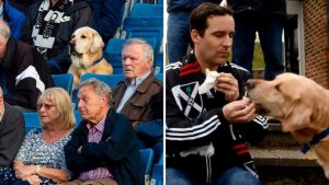 TO JE DOBAR DEČKO: Pas Jardli ne propušta utakmicu omiljenog kluba (FOTO) (VIDEO)