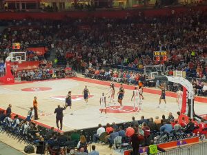 NIŽU SE POVREDE POSLE KUPA: Još jedan igrač mora na operaciju (FOTO)