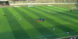 POLEGALI: Pčelama se nije svidela utakmica, prekinuta je (VIDEO)