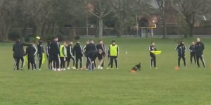 PRIPREME ZA LIVERPUL: Šefild trenirao u parku, dobili četvoronogo pojačanje (VIDEO)